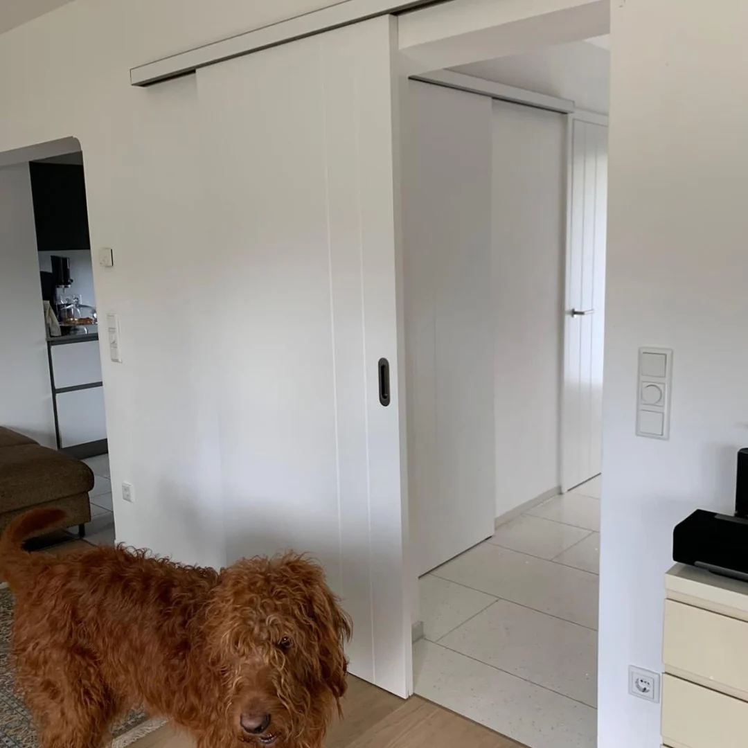 d3d57c45-ddd8-4538-a36c-38d297b7ba6a